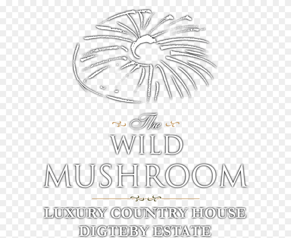 The Wild Mushroom Country House Accommodation Stellenbosch Abbas, Book, Publication, Advertisement, Poster Free Png Download