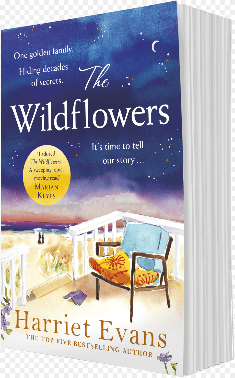 The Wildflowers Flyer, Book, Chair, Furniture, Publication Free Png Download