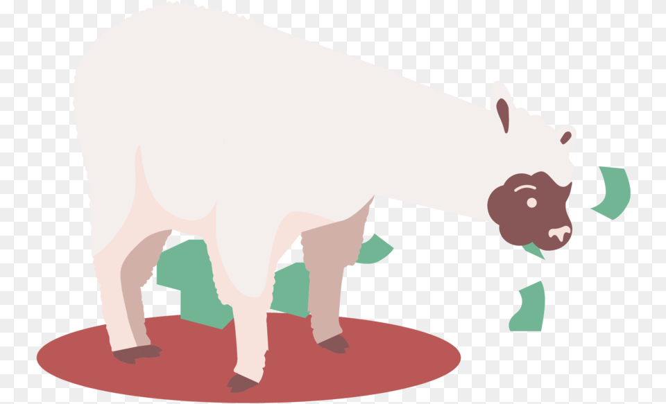 The Wise Lama U2014 Mindride Animal Figure, Mammal, Pig, Bear, Wildlife Free Transparent Png