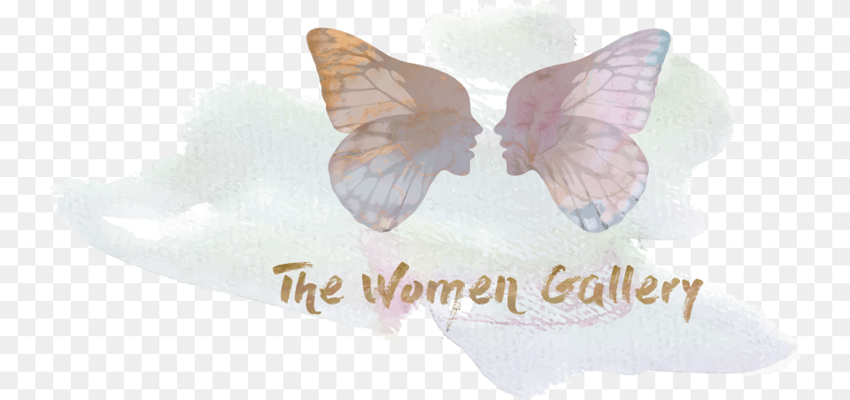 The Women Gallery Pieridae Free Transparent Png