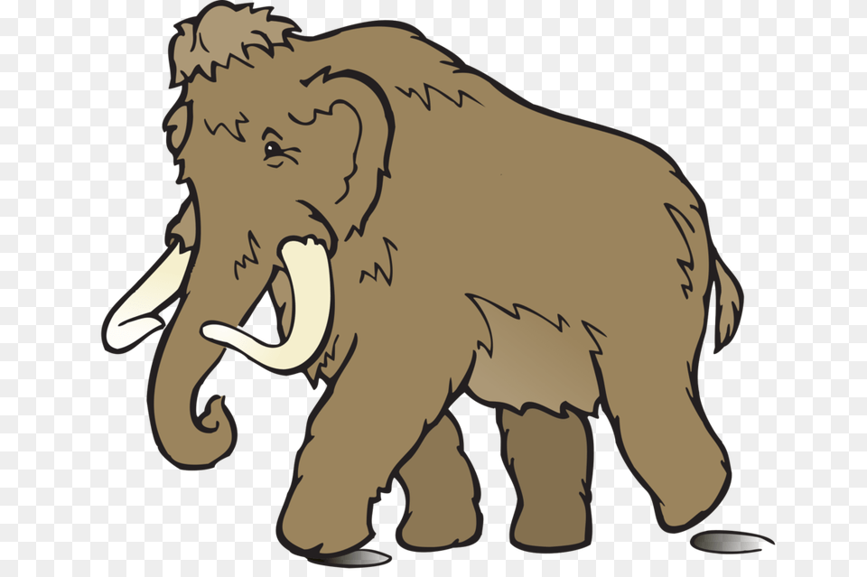 The Woolly Mammoth Drawing Mammal, Person, Animal, Wildlife, Face Free Png Download