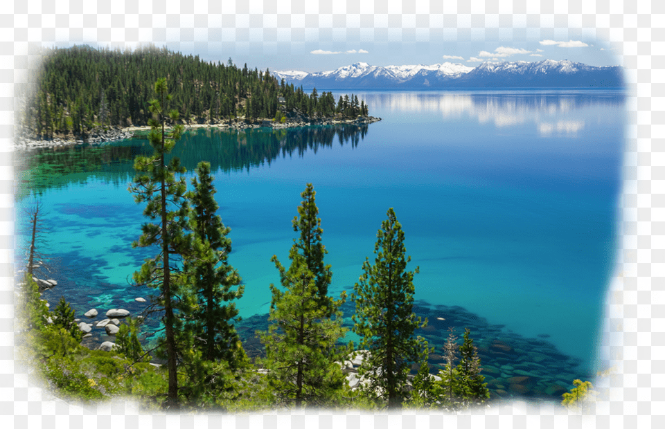 The Word Vodka Means 39little Water Lake Transparent, Conifer, Tree, Plant, Outdoors Png