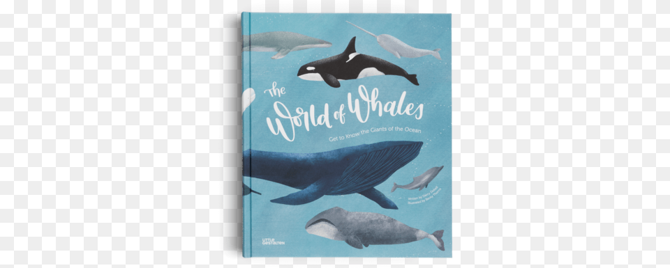 The World Of Whales The World Of Get To Know The The Ocean, Animal, Mammal, Sea Life, Whale Png Image