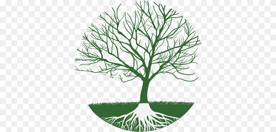 The World Tree Is A Symbol Of The Totality Of The Cosmos Transfiguration Of Solomon Shinn Book, Plant, Potted Plant, Root Free Png Download