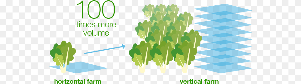 The World39s Largest Vertical Farm Horizontal Vs Vertical Farming, Food, Kale, Leafy Green Vegetable, Plant Free Transparent Png