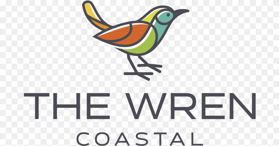 The Wren At Coastal Is A New Boutique Townhome Student, Animal, Bird, Jay Free Png