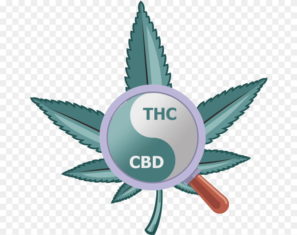 The Yin Amp Yang Of Cannabis Label, Plant, Weed Free Png Download