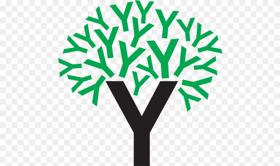 The Young Foundation Young Foundation, Green, Plant, Potted Plant, Grass Free Png