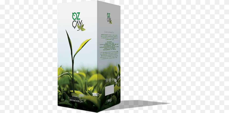 Theic Brochure, Advertisement, Herbal, Herbs, Plant Free Png Download