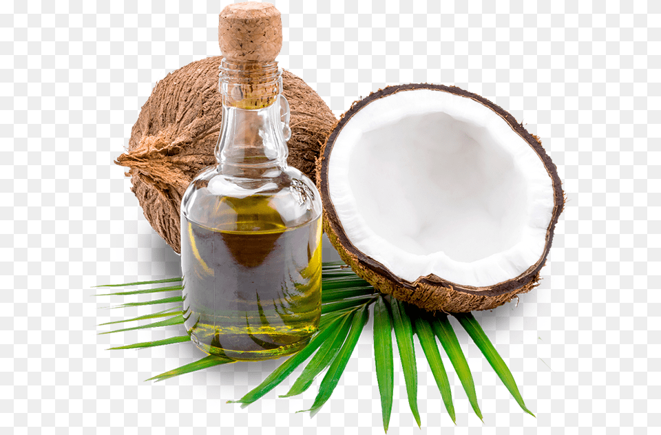 Thenarasu Coconut Oil Background Coconut Oil, Food, Fruit, Plant, Produce Free Transparent Png
