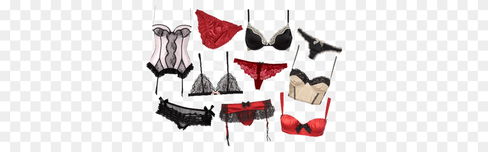 Theo Lingerie, Clothing, Underwear, Bra, Animal Free Transparent Png