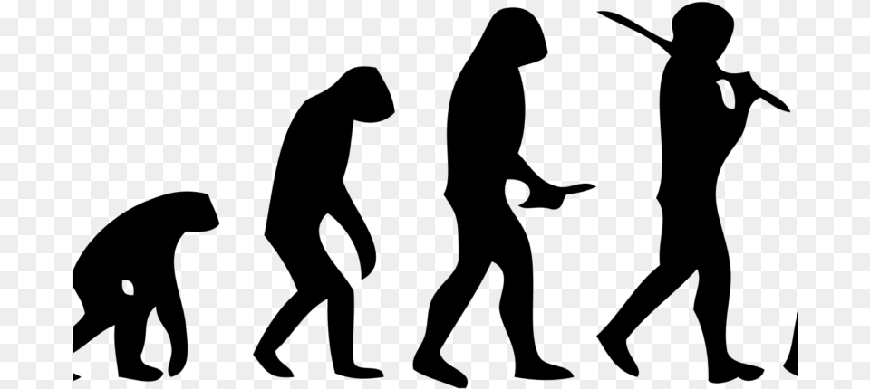 Theory Of Evolution Falls Apart Monkey To Human Stages, Gray Free Transparent Png