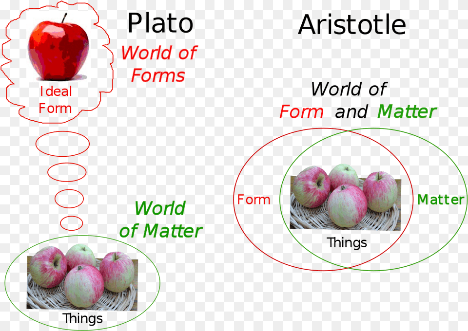 Theory Of Universals, Apple, Food, Fruit, Plant Free Png
