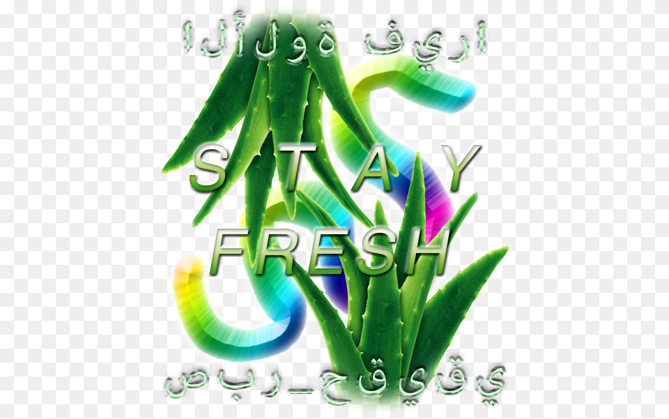 Thepresidentcantswim Toothpastepng Aloe Vera, Green, Plant, Herbal, Herbs Png Image