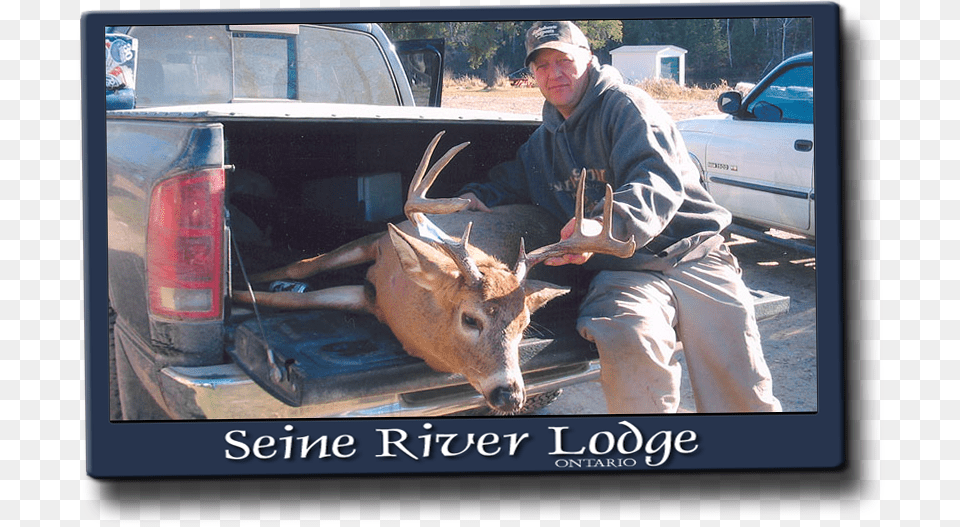 There Have Been Some Older Monsters Taken Amp Lots Of Elk, Adult, Vehicle, Truck, Transportation Free Png
