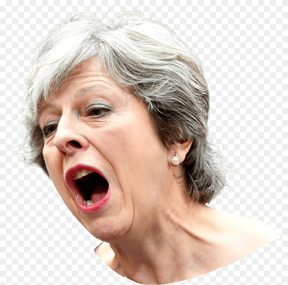 Theresa May, Adult, Face, Female, Head Free Transparent Png