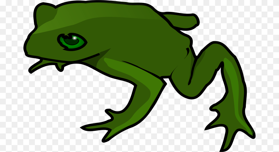 Theresaknott Frog, Amphibian, Animal, Green, Wildlife Free Png Download