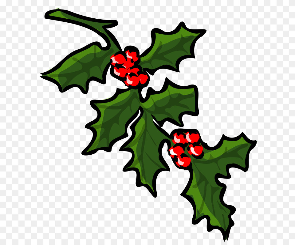 Theresaknott Holly, Leaf, Plant, Flower, Food Png