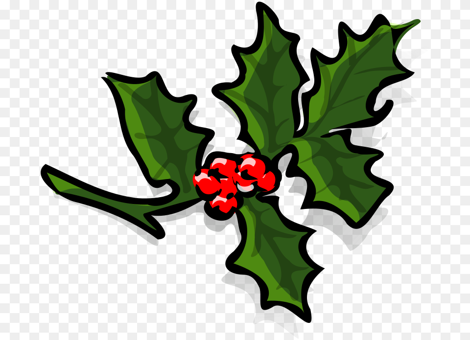 Theresaknott Holly, Leaf, Plant, Flower, Tree Free Transparent Png
