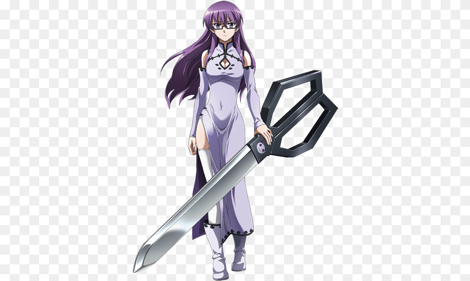 These 36 Purple Haired Anime Girls Are So Damn Interesting Akame Ga Kill Characters Sheele, Book, Comics, Publication, Weapon Free Png