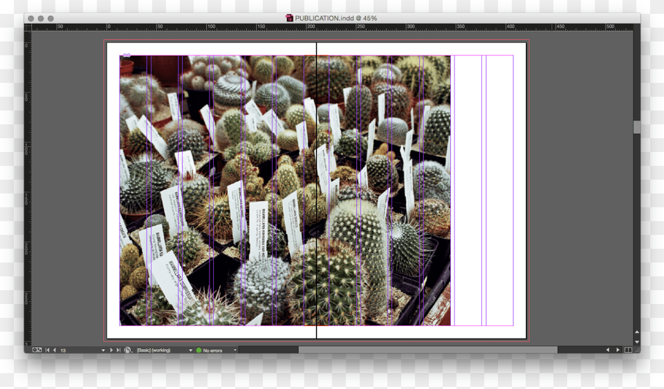 These Are A Few Screen Grabs From The Design Process Prickly Pear, Cactus, Plant, Person, Food Free Transparent Png