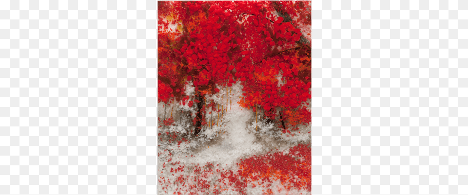 These Landscape Pieces Are At Least 12quot Thick And Maple Leaf, Plant, Tree Free Png Download