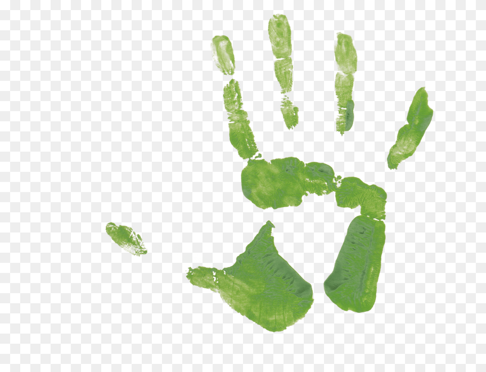 These Same Hand Prints Have Also Become My Branding Leaf, Green, Plant Png
