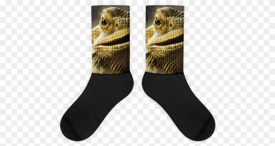 These Socks Will Give You Maximum Comfort And Style Sock, Animal, Lizard, Reptile, Clothing Free Transparent Png
