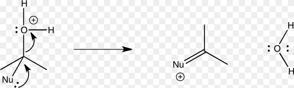 These Steps Occur Over And Over Inching The Molecule, Gray Free Png