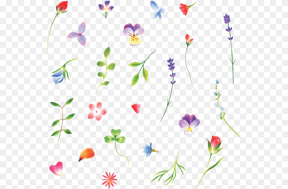These Tiny Flowers By Jess Chen Have Completely Won Tattly, Flower, Petal, Plant, Pattern Png Image
