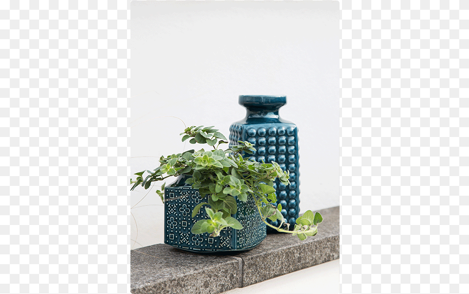They Do Great Vases And Pots So You Can Display Your Houseplant, Jar, Plant, Planter, Potted Plant Png