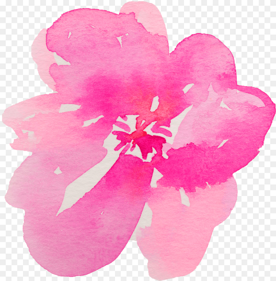 They Either Really Mad Or Really Happy Scripture He Who Promised Is Faithful, Anther, Flower, Geranium, Petal Png