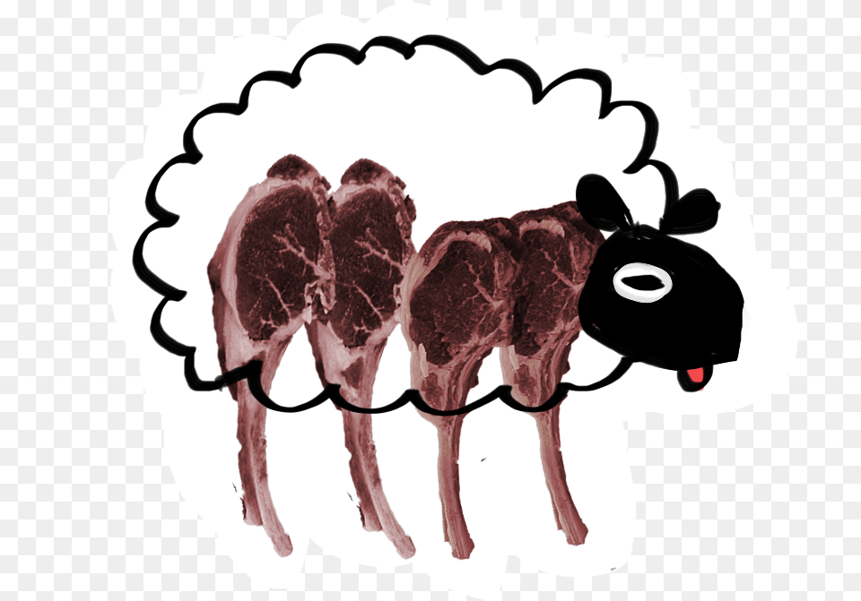 They Happens Because Stress Perhaps Caused By Handling Sheep, Food, Meat, Mutton, Animal Free Png Download