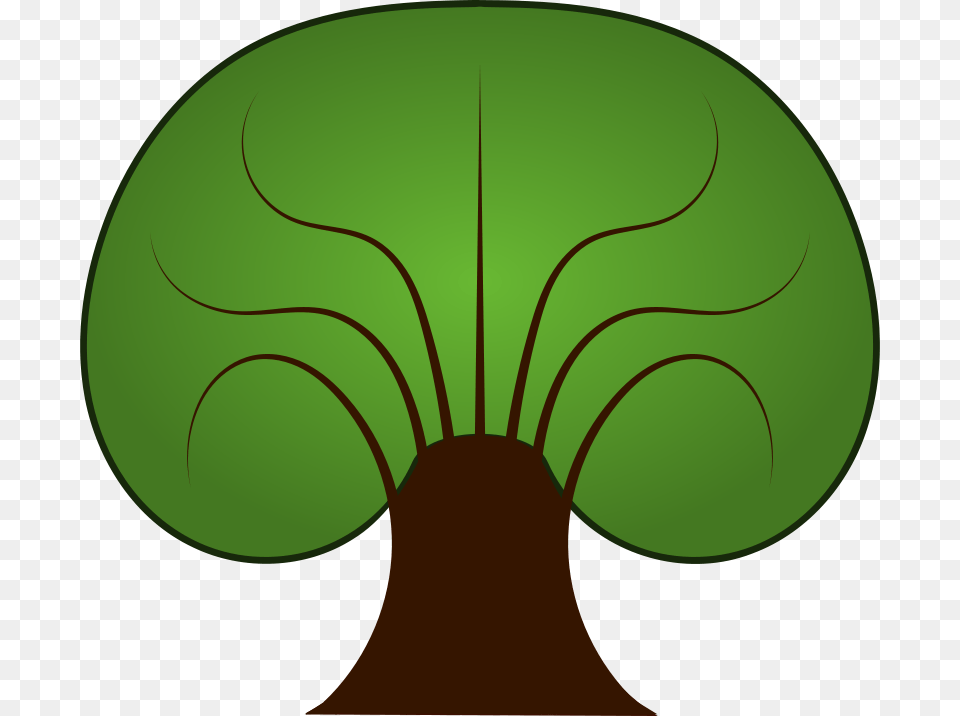 Thicktree, Green, Nature, Night, Outdoors Free Transparent Png