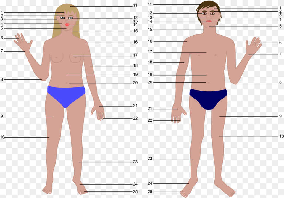 Thighbriefsgirl Human Body Parts Without Name, Swimwear, Clothing, Plot, Person Free Png