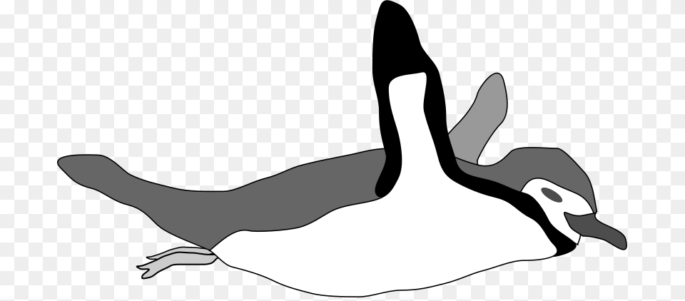 Thilakarathna Penguin Swim, Animal, Bird, Goose, Waterfowl Png