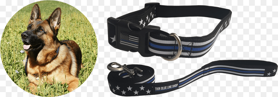 Thin Blue Line Police Dog Collar Dog Supplies Strap, Animal, Canine, Mammal, Pet Free Png Download