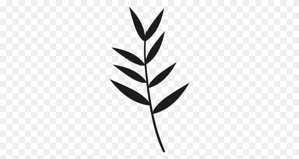Thin Leaves On Stem Silhouette, Leaf, Plant, Herbal, Herbs Free Transparent Png
