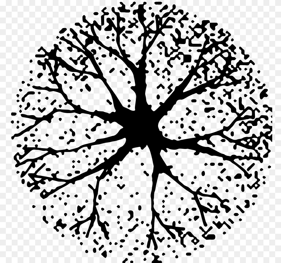 Things I Wish I Knew During Architecture School Line Drawings Tree Plan, Leaf, Plant, Pattern Png