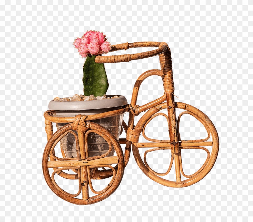 Things Only People Who Own Succulents Will Understand Cactus, Machine, Wheel, Plant, Potted Plant Free Png Download