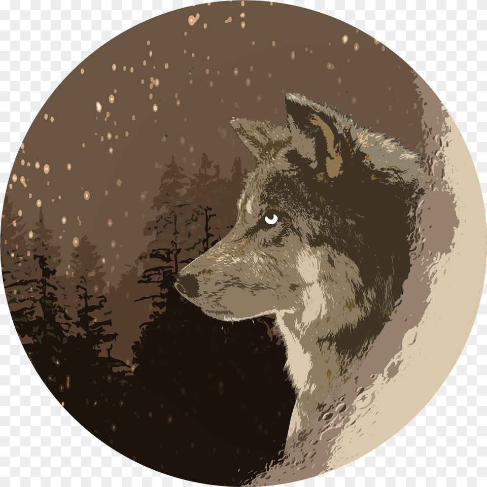 Things Tagged With Virar A La Derecha, Animal, Wolf, Mammal, Coyote Free Png