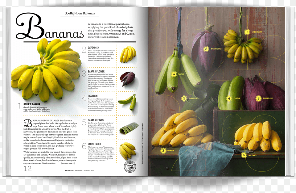 Think Big Design Group Is A New York Creative Agency, Banana, Food, Fruit, Plant Png Image