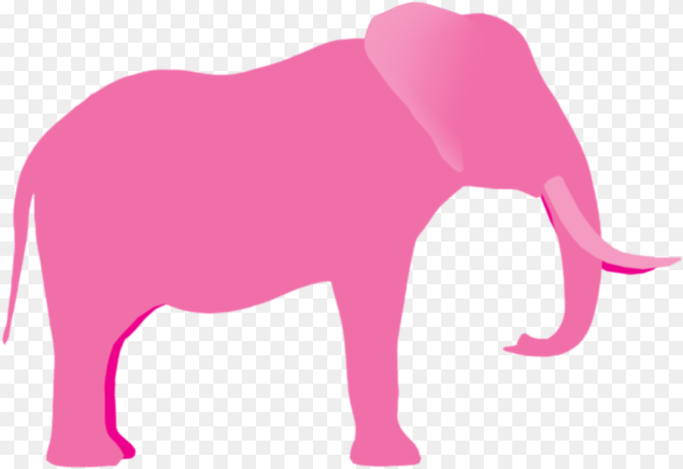 Think Of A Pink Elephant Whatever You Do Do Pink Elephant, Animal, Mammal, Wildlife, Bear Png Image