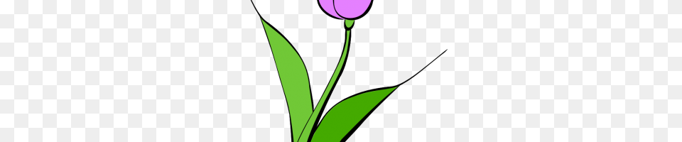 Thinking Brain Clipart For Kids Thinking Brain Clipart For Kids, Flower, Plant, Tulip, Petal Png