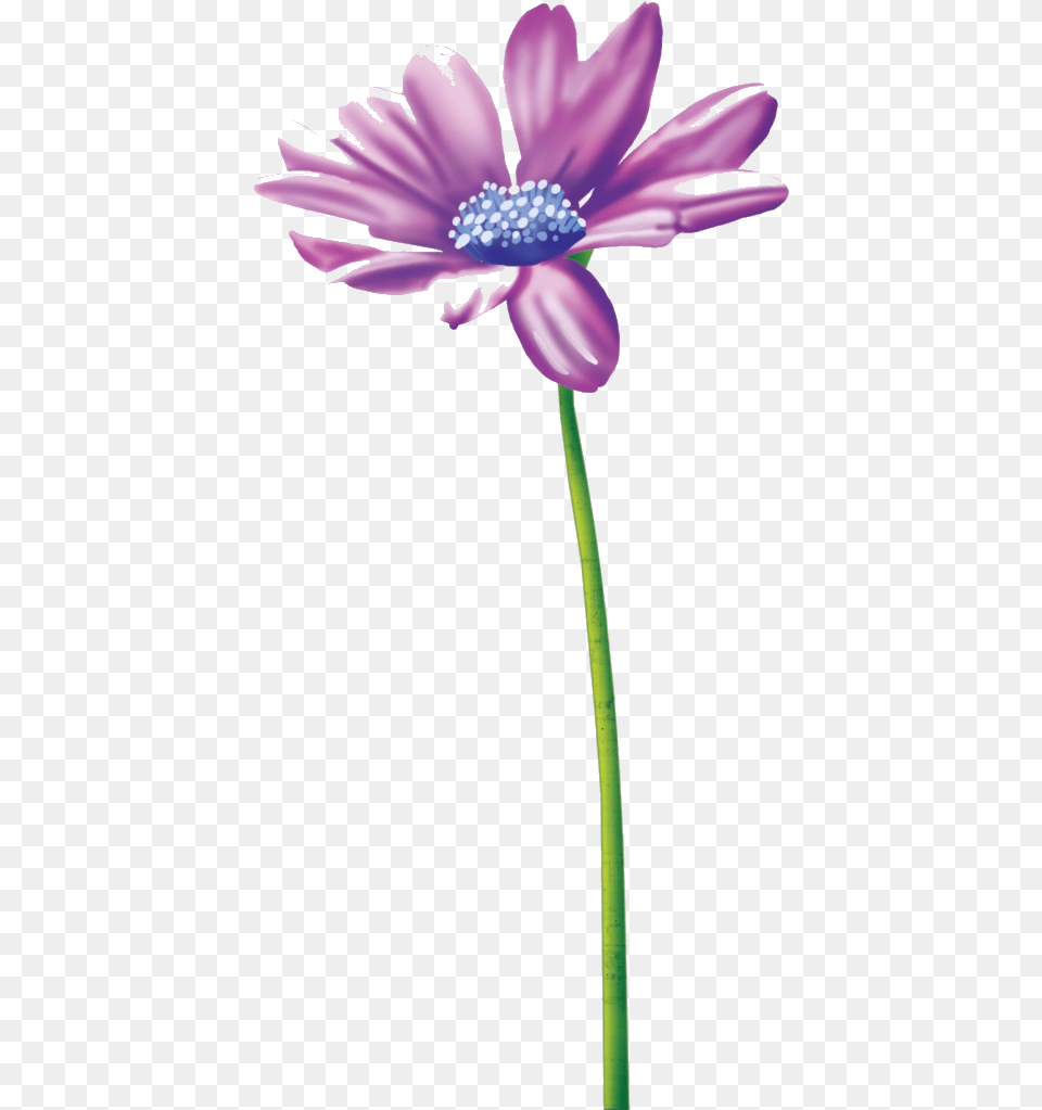 Thinking Of You Flower Clipart Tube Clip Art Stationery African Daisy, Anemone, Anther, Petal, Plant Png Image