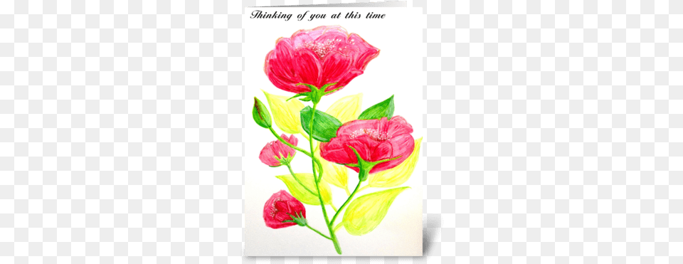 Thinking Of You Greeting Card, Art, Pattern, Mail, Greeting Card Free Png Download
