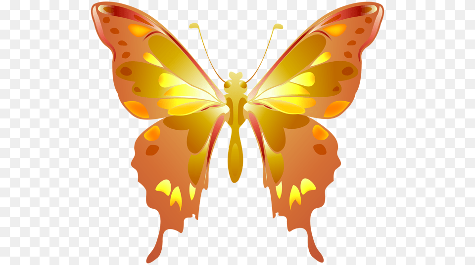 This, Flower, Plant, Animal, Butterfly Free Transparent Png