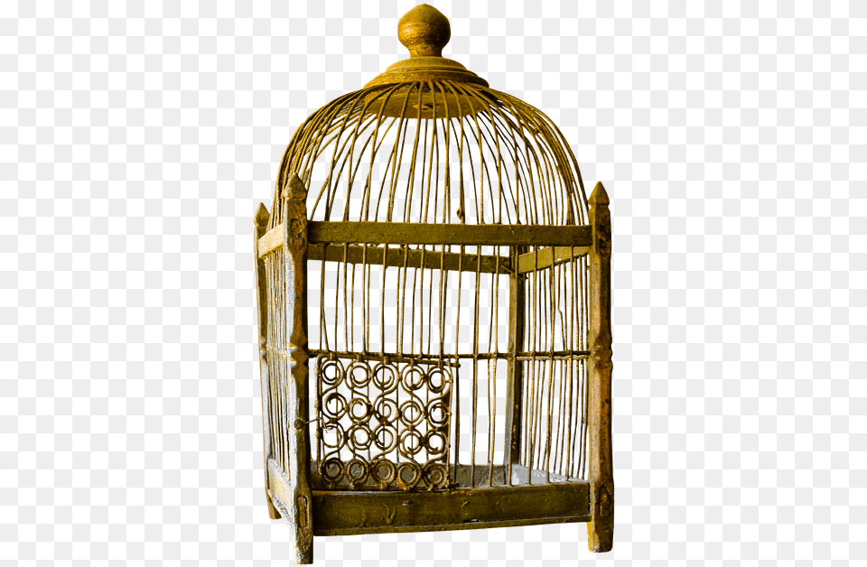 This Alt Value Should Not Be Empty If You Assign Primary, Cage Free Png Download