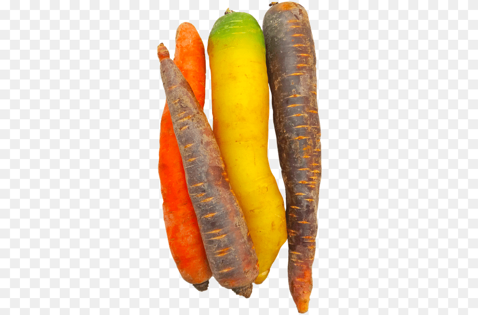 This Alt Value Should Not Be Empty If You Assign Primary, Carrot, Food, Plant, Produce Free Transparent Png