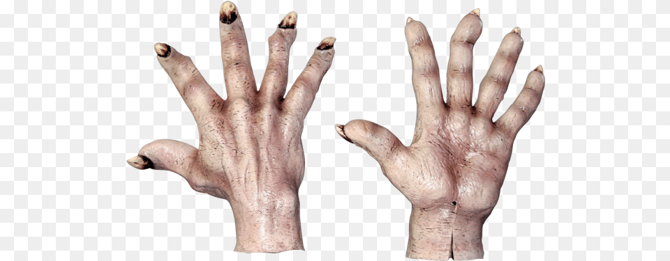 This Alt Value Should Not Be Empty If You Assign Primary Hand Monster, Body Part, Electronics, Finger, Hardware Free Transparent Png